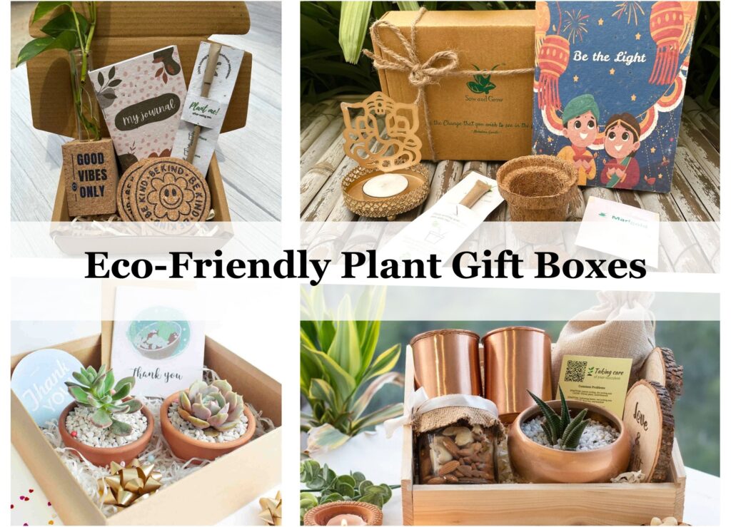 Eco-Friendly Plant Gift Boxes